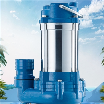 大元不锈钢220V单相家用污水泵抽水机抽粪泥浆潜污泵高扬程提升泵